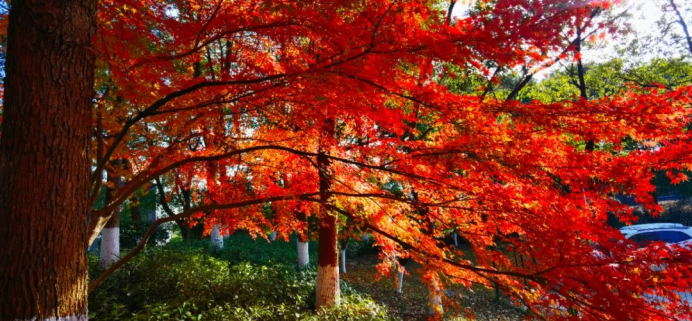 271701043552162558.png image.png