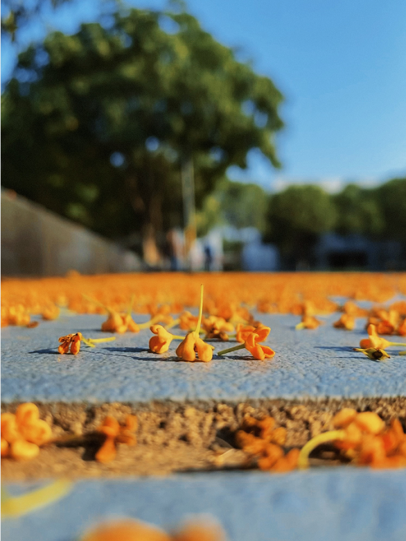 271701043924343042.png image.png