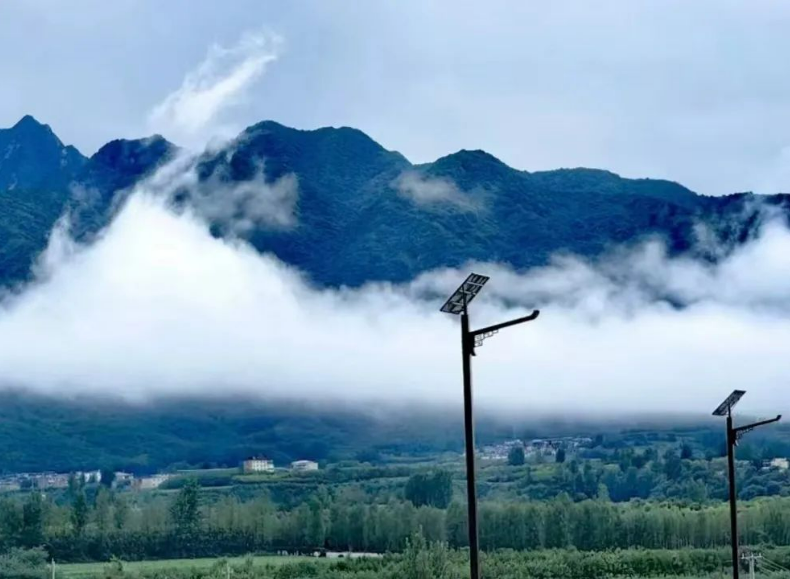 291722217436322832.png image.png